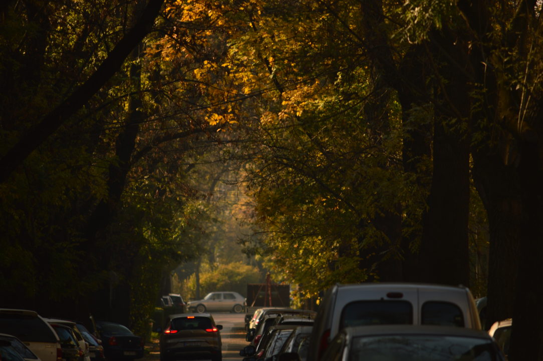 Rua arborizada em Budapest, 2017