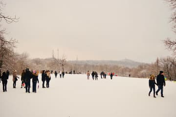 A sociedade na neve