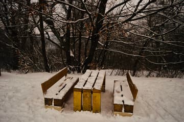 Temos neve para o picnic no parque
