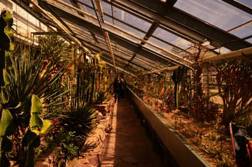 Inside the Botanical Garden in Copenhagen