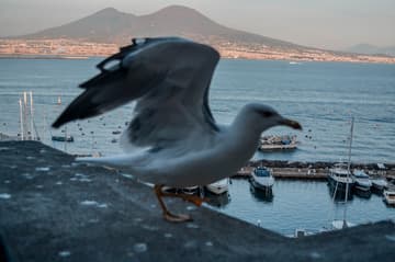 Napoli, terra da amiga genial