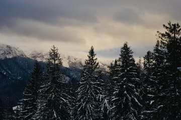 Winter in Zakopane, Poland