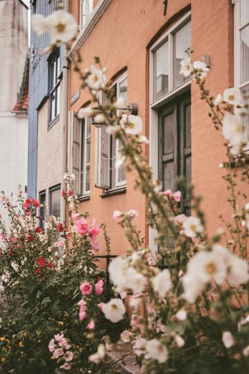 A photo walk in Christianshavn