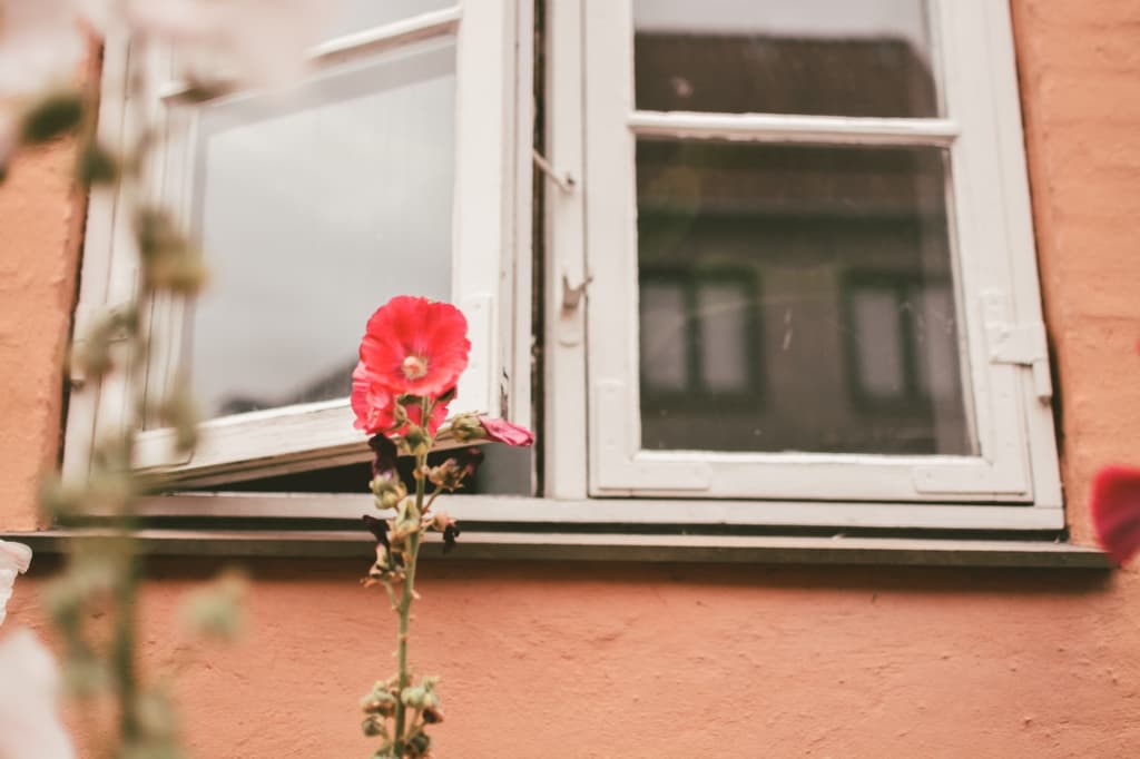 A photo walk in Christianshavn