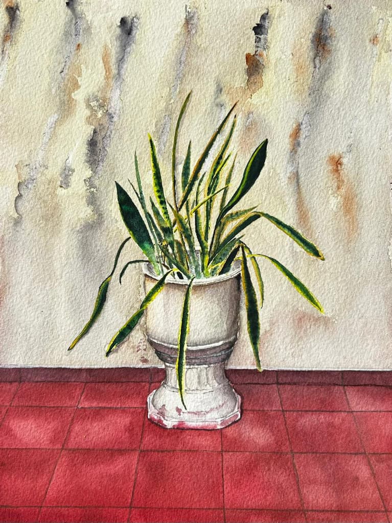 Vaso