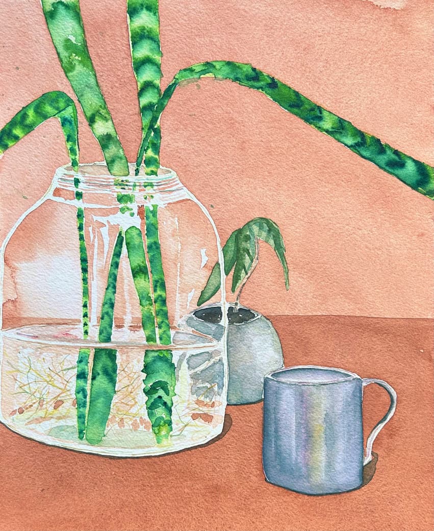 Vasos (2023)