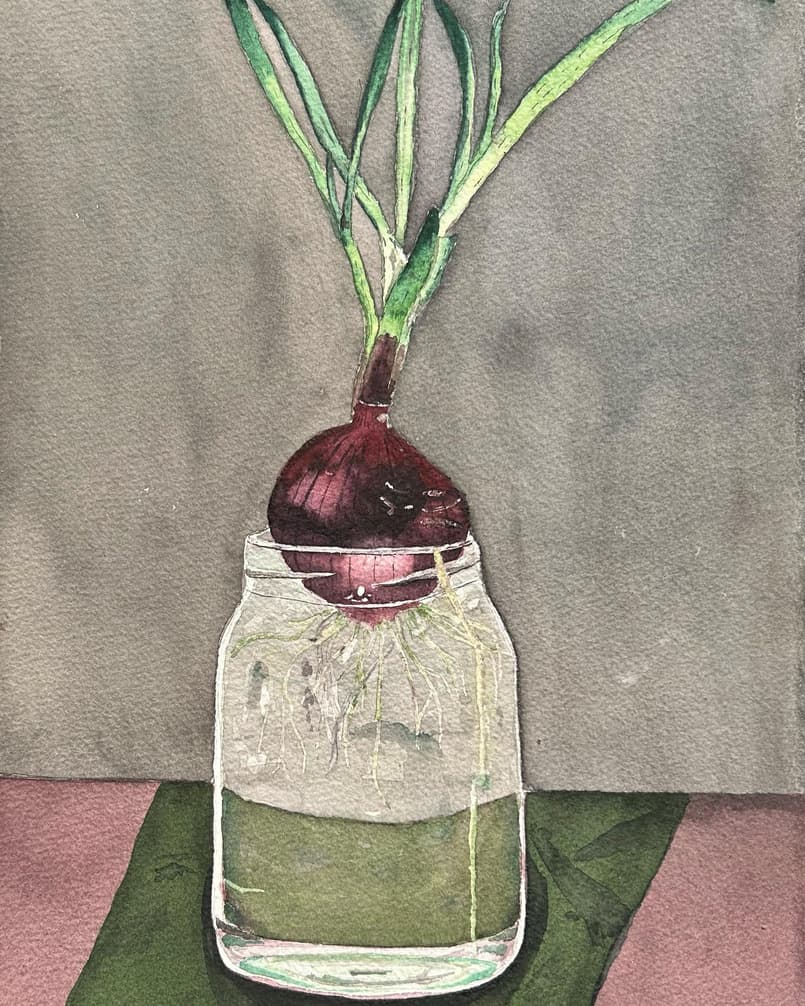 Cebola (2023)