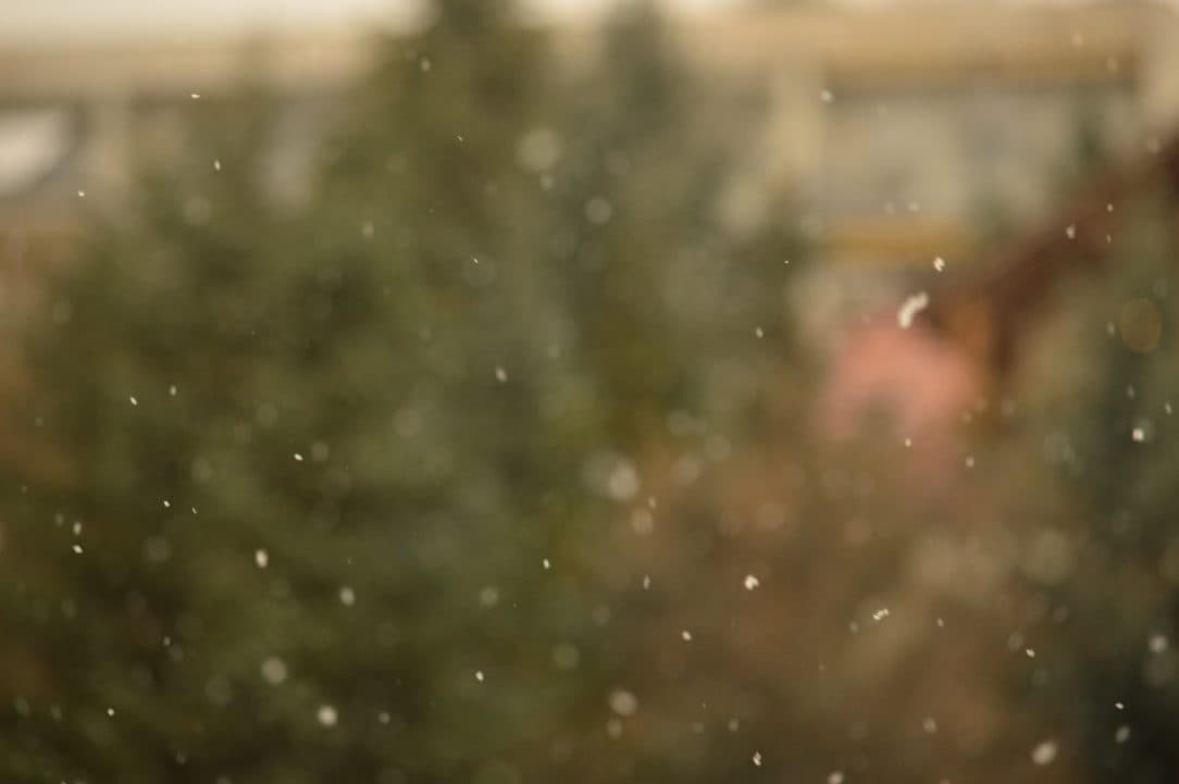 Floquinhos da primeira neve na janela em Budapest