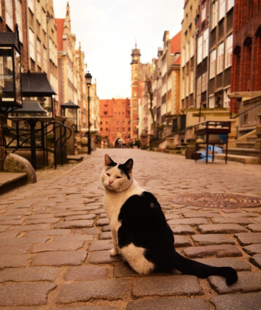 1 day in the Polish seaside: Gdańsk
