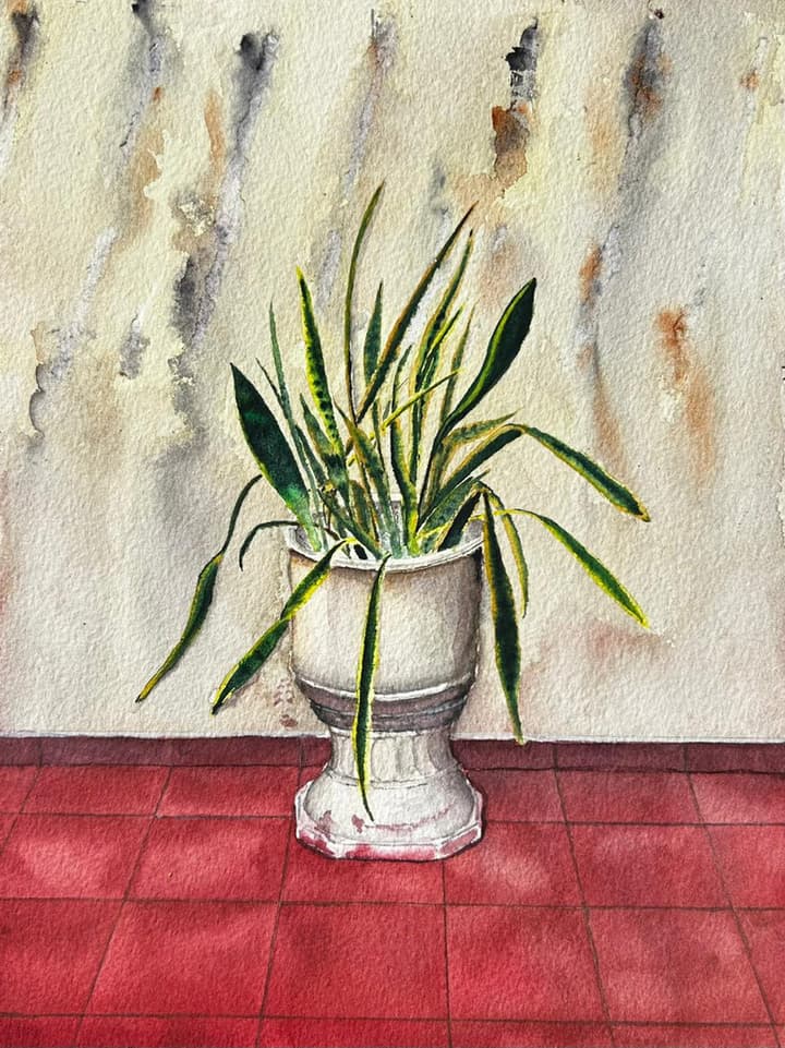 Vaso (2025)