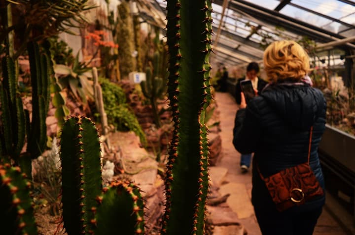 Inside the Botanical Garden in Copenhagen