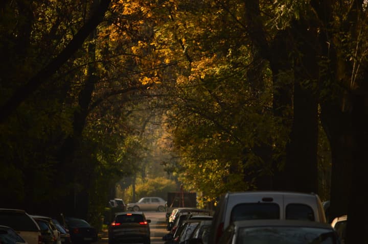 Rua arborizada em Budapest, 2017