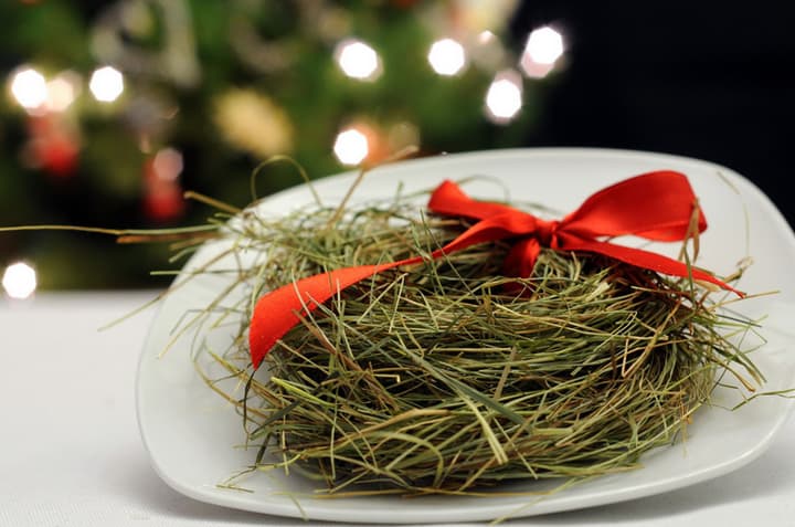 Raminhos de palha (feno) são adicionados embaixo da toalha na ceia de natal, representando a manjedoura do menino Jesus!