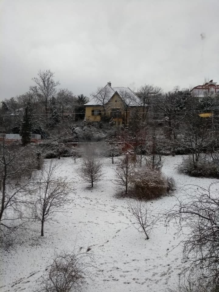 Vou sentir saudades desta vista da Janela do Dormitório (BUDA)