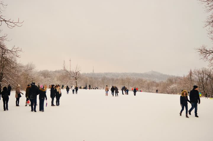 A sociedade na neve