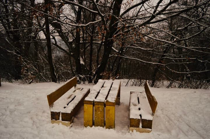 Temos neve para o picnic no parque