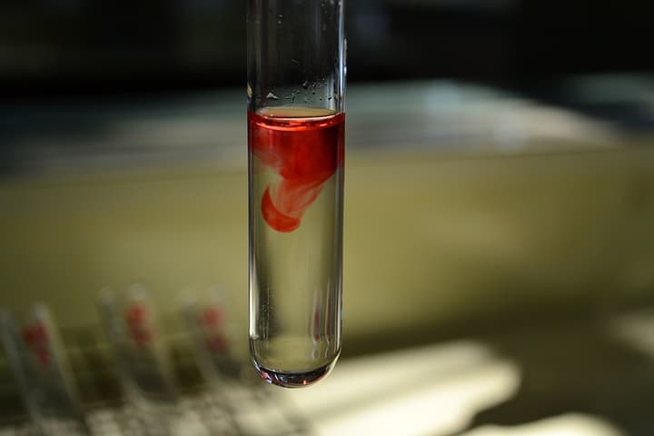 Meu primeiro estágio em laboratório. Eu me maravilhava com a câmera entre um experimento e outro.