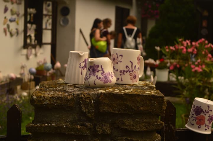 Campos de Lavanda em Tihany