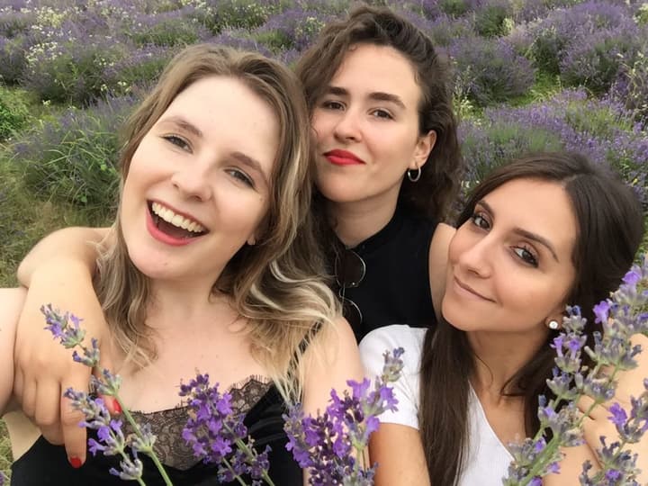 Campos de Lavanda em Tihany