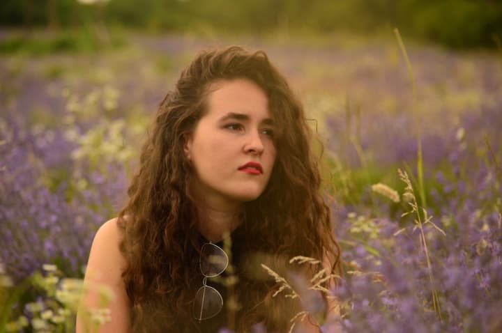 Campos de Lavanda em Tihany