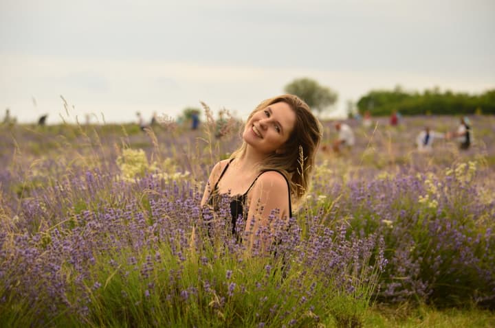 Campos de Lavanda em Tihany