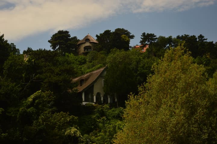 Campos de Lavanda em Tihany
