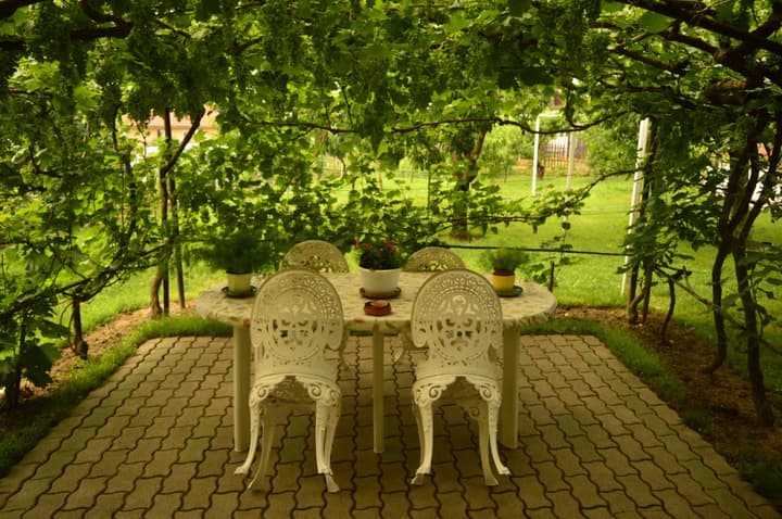 Jardinzinho da casa onde dormimos!