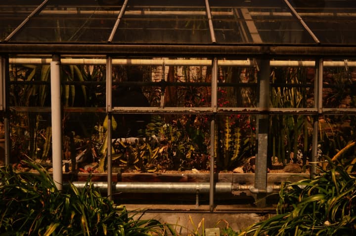 Inside the Botanical Garden in Copenhagen