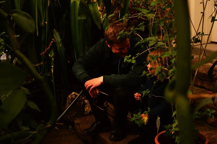 Inside the Botanical Garden in Copenhagen