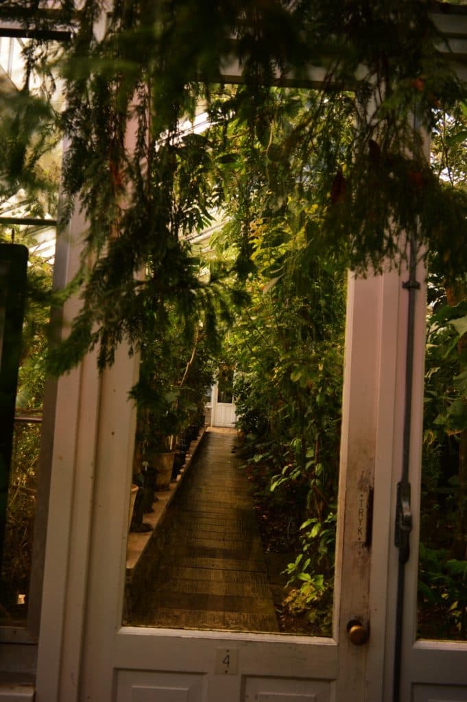 Inside the Botanical Garden in Copenhagen