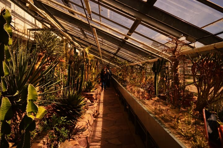 Inside the Botanical Garden in Copenhagen