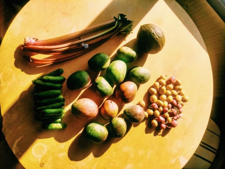 3 organizations fighting against food waste in Denmark