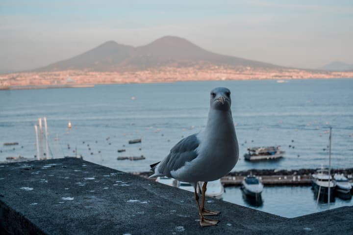 Napoli, terra da amiga genial