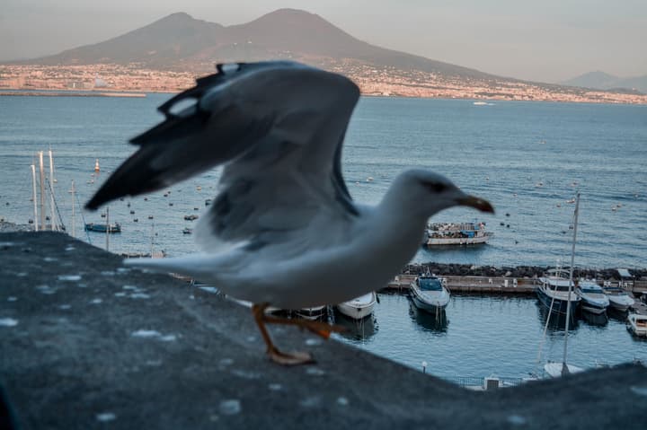 Napoli, terra da amiga genial