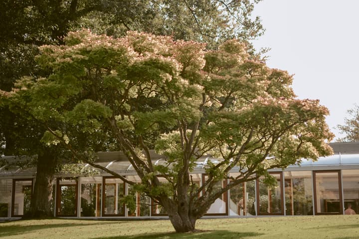 Louisiana Museum of Modern Art, my favourite place in Denmark