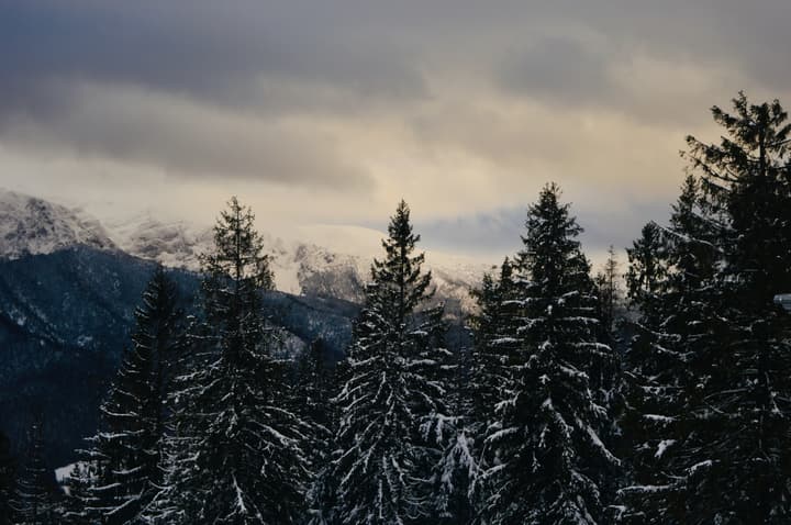 Winter in Zakopane, Poland