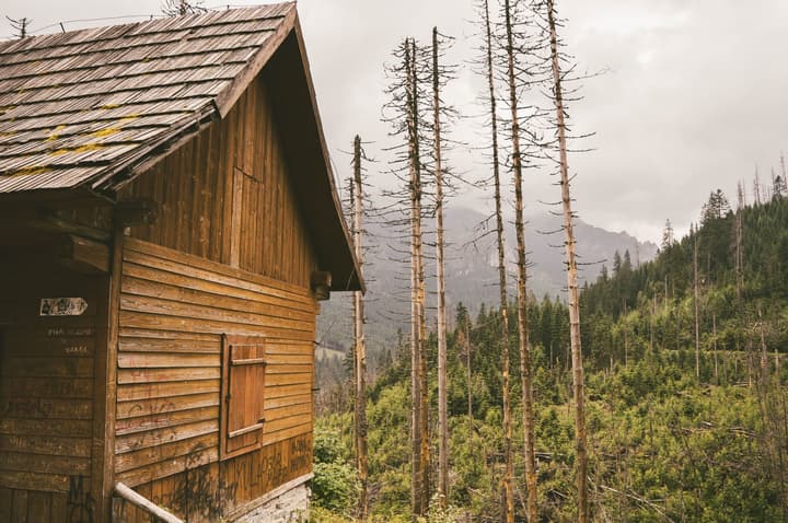 Traditional wooden houses during the summer | Polish Mountains