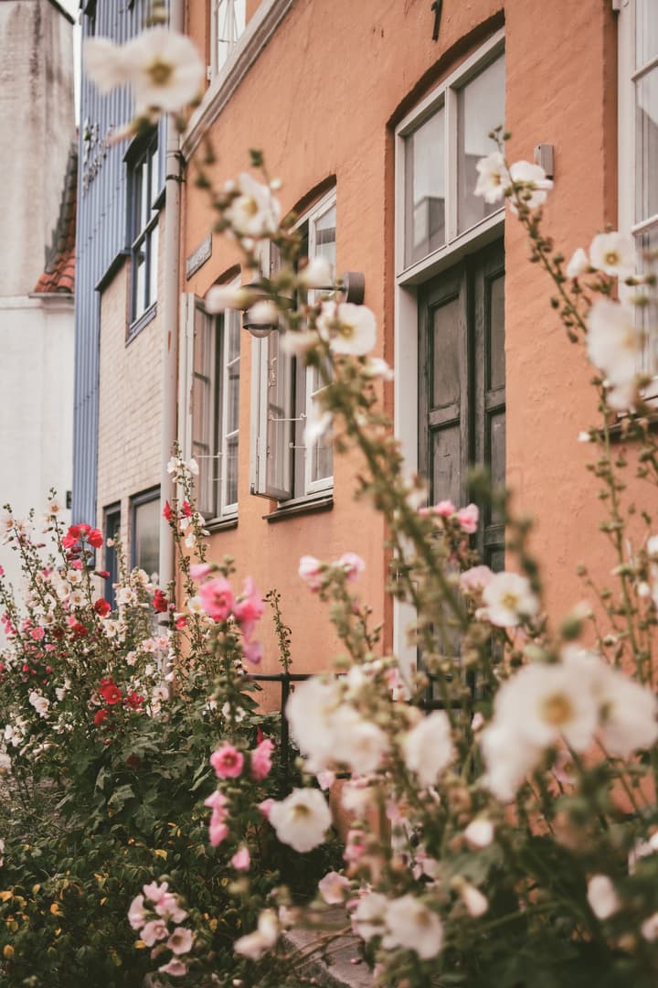 A photo walk in Christianshavn