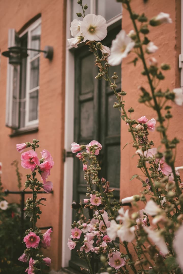 A photo walk in Christianshavn