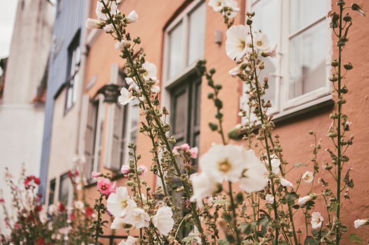 A photo walk in Christianshavn