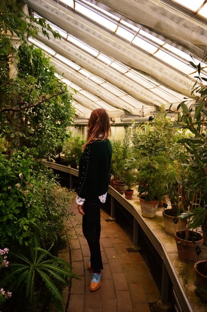 Inside the Botanical Garden in Copenhagen