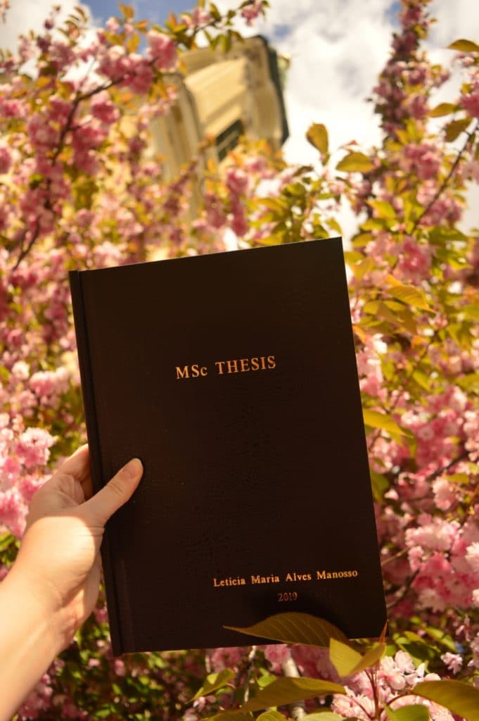 Pretty fancy, right? It's only the cover and the spring time of Budapest