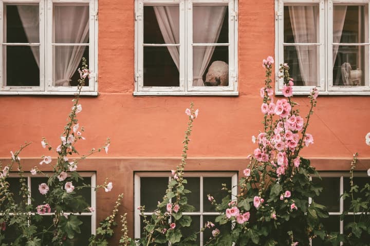 A photo walk in Christianshavn